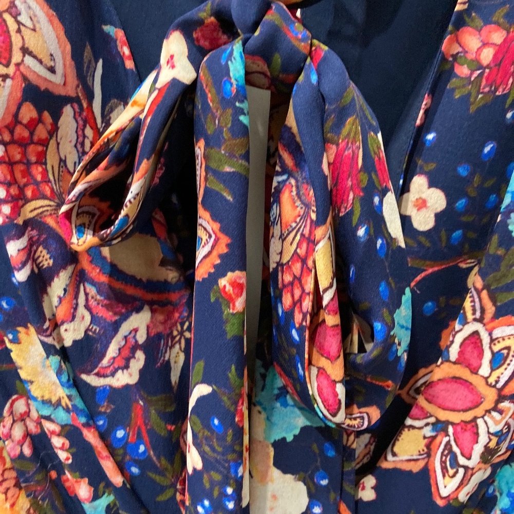 Haute Hippie Dress